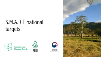 S.M.A.R.T national  targets  S. pecific  M. easurable  A. greed  R. ealistic  T. ime-bound  2020