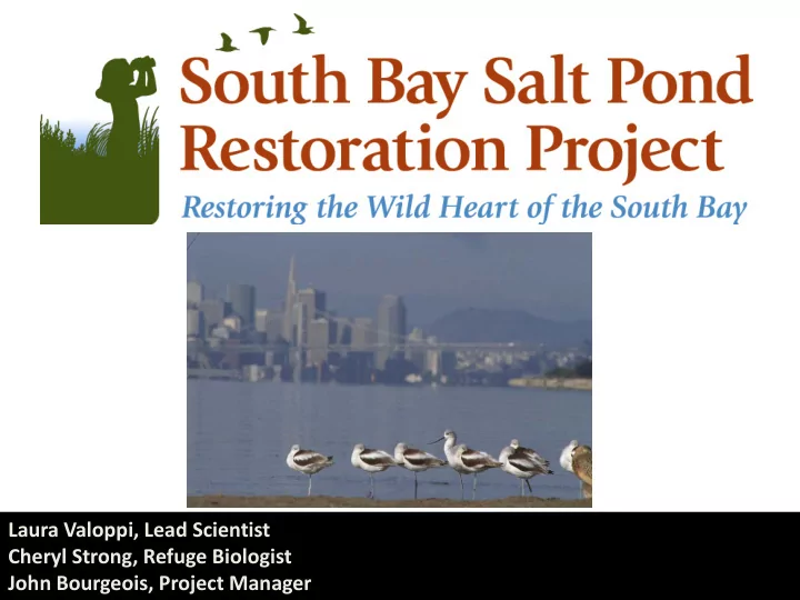 laura valoppi lead scientist cheryl strong refuge