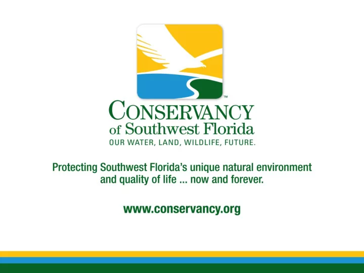 the importance of estero river for the