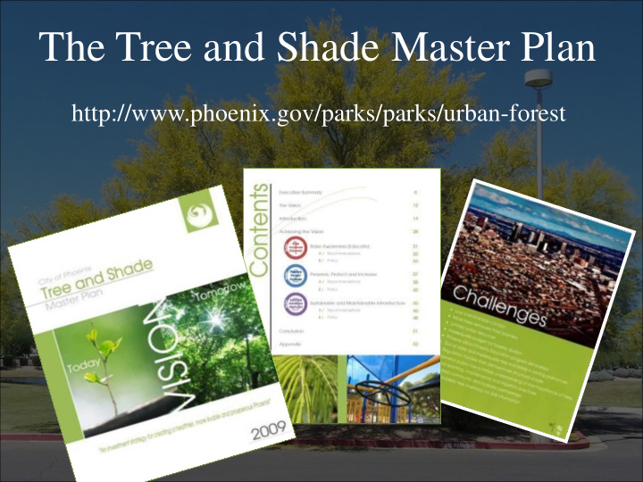 the tree and shade master plan