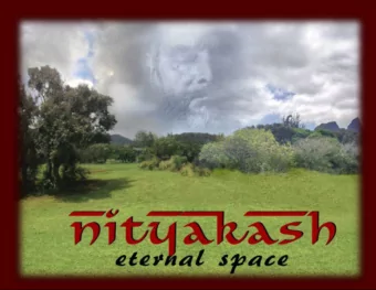 Sitting in meditation in front of the Nityananda statue in Berkeley about 10 years ago, he clearly