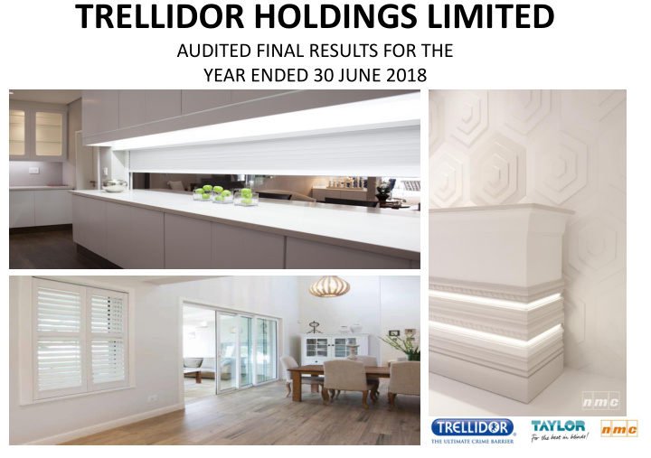 trellidor holdings limited