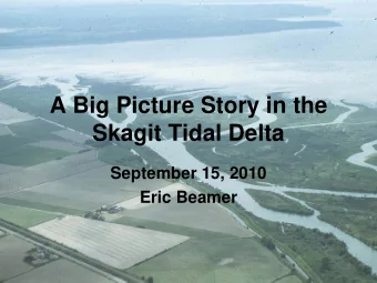 A Big Picture Story in the  Skagit Tidal Delta  September 15, 2010  Eric Beamer  A Big Picture