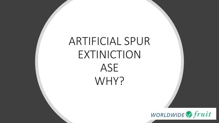 artificial spur