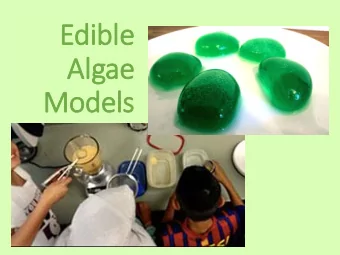 Edible  Alg  lgae  Models Review: What are the three parts of  algae we can make into fuel?  Oil