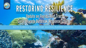 SOUTH FLORIDA &amp; TREASURE COAST REGIONAL PLANNING COUNCILS  OCTOBER 25, 2019  OV  OVERVIE  IEW