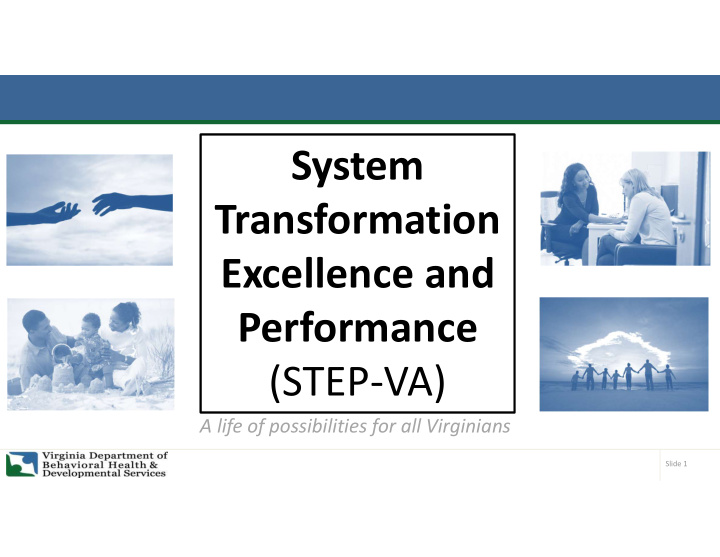 system transformation excellence and performance step va