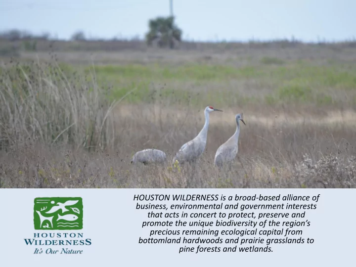 promote the unique biodiversity of the region s