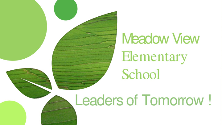 m eadow view elementary school leaders of tomorrow it