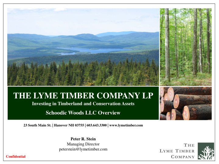 the lyme timber company lp