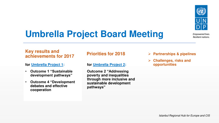 umbrella project board meeting
