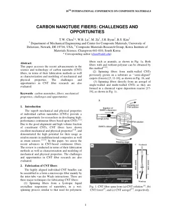 CARBON NANOTUBE FIBERS: CHALLENGES AND  OPPORTUNITIES T.W. Chou 1 *, W.B. Lu 1 , M. Zu 1 , J.H.