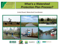 what s a watershed protection plan process