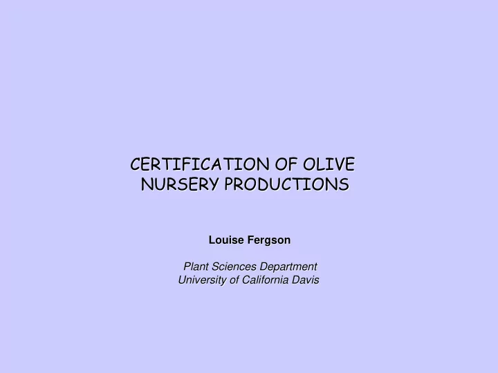 certification of olive nursery productions