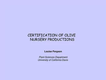 CERTIFICATION OF OLIVE  NURSERY PRODUCTIONS  Louise Fergson  Plant Sciences Department  University