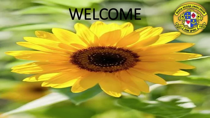 welcome mary ry ward
