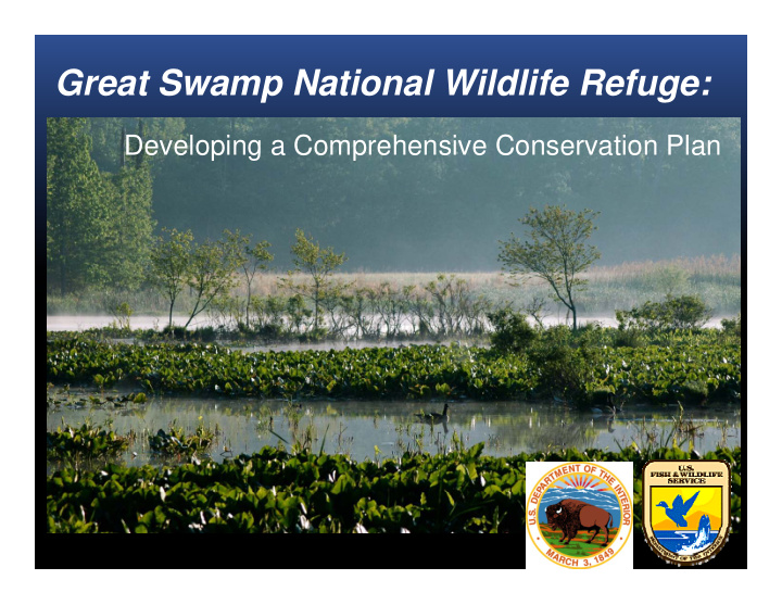 great swamp national wildlife refuge
