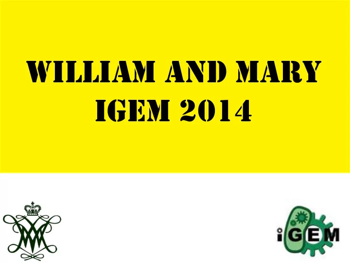 william and mary