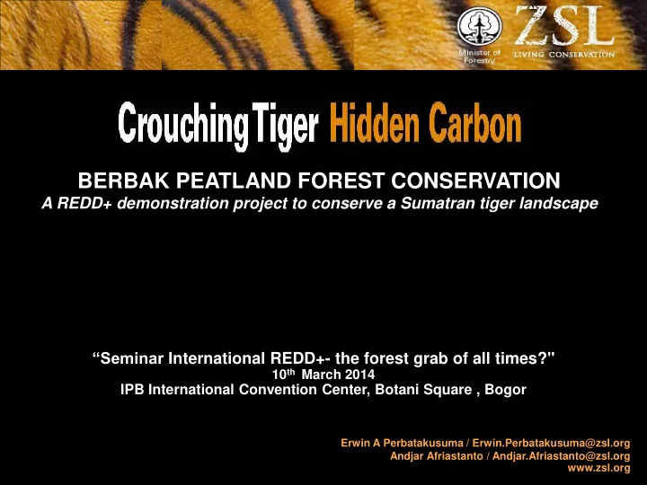 berbak peatland forest conservation