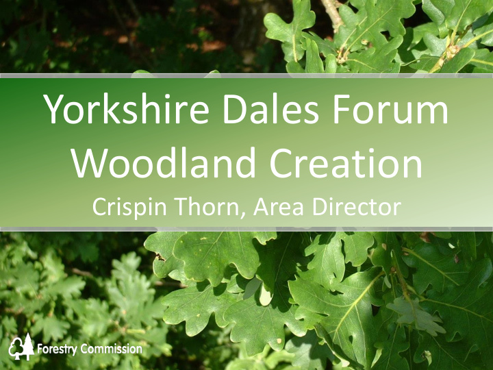 yorkshire dales forum woodland creation