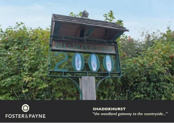 the woodland gateway to the countryside...  FOSTER  &amp; PAYNE  OUR BACKGROUND  We are an