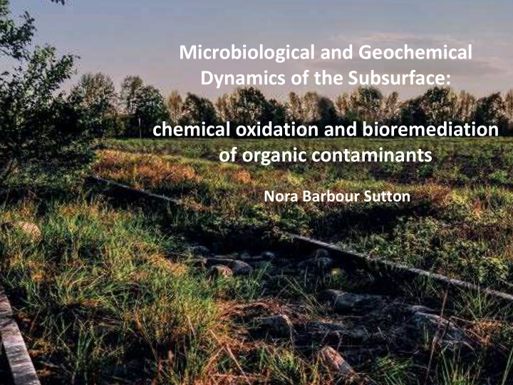microbiological and geochemical dynamics of the