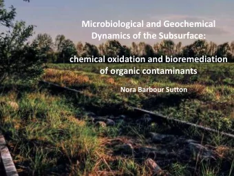 Microbiological and Geochemical  Dynamics of the Subsurface:  chemical oxidation and bioremediation