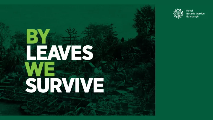 by lea ves we survive a manifesto for the arts this