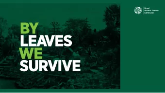 BY  LEA  VES  WE  SURVIVE  A MANIFESTO  FOR THE ARTS  This manifesto has emerged  from the