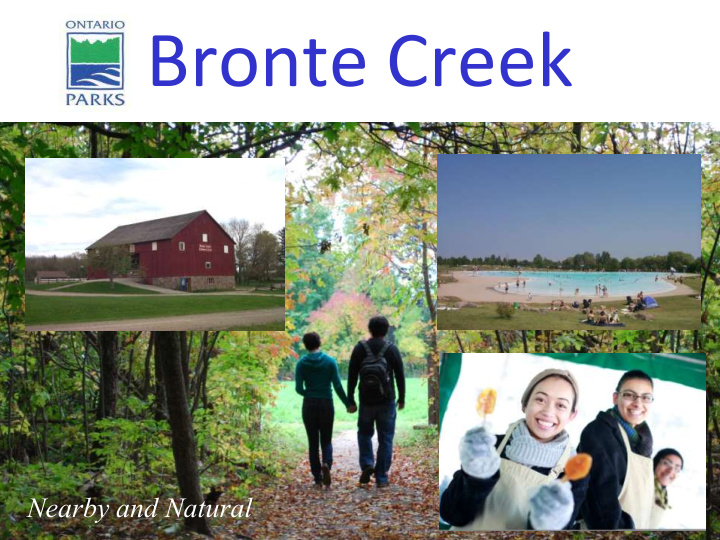 bronte creek