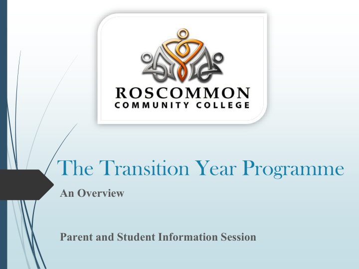 the transition year programme