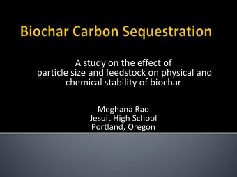 A study on the effect of  particle size and feedstock on physical and  chemical stability of