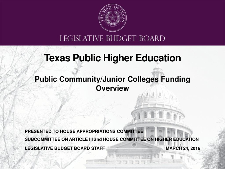 texas public higher education