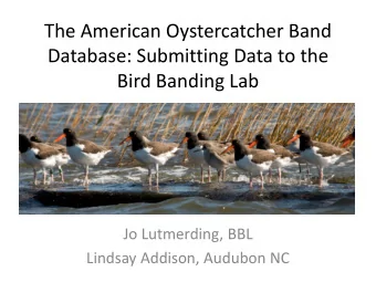 The American Oystercatcher Band  Database: Submitting Data to the  Bird Banding Lab  Jo Lutmerding,