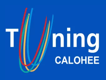 Measuring and Comparing Achievements of  Learning Outcomes in Higher Education in  Europe