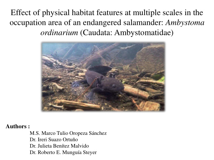 effect of physical habitat features at multiple scales in