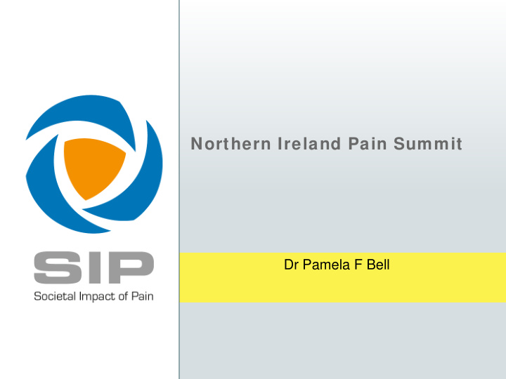 northern ireland pain summit