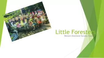 Little Foresters  Western Downland Nursery Class  Background  There are several quality