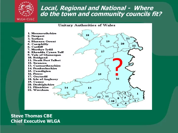 steve thomas cbe chief executive wlga welsh government