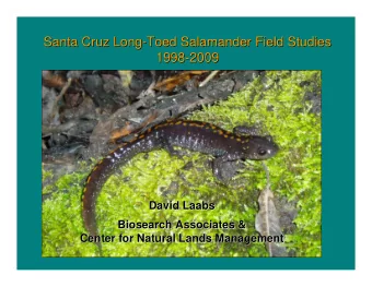 Santa Cruz Long-  -Toed Salamander Field Studies  Toed Salamander Field Studies  Santa Cruz Long