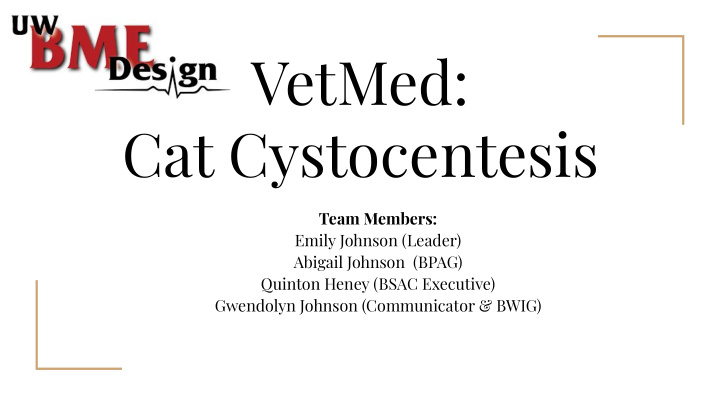 vetmed cat cystocentesis