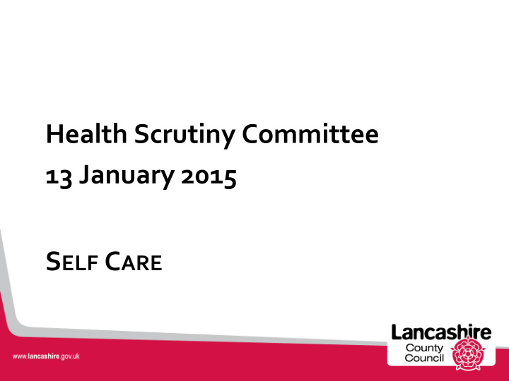 health scrutiny committee