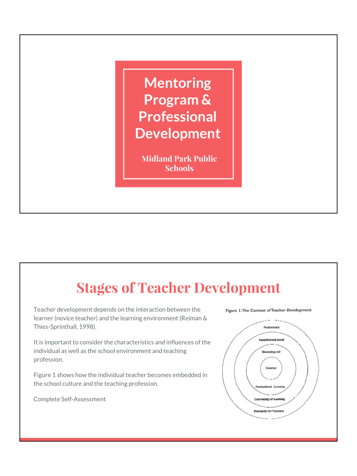mentoring program professional development