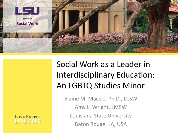 social work as a leader in interdisciplinary education an