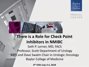 Inhibitors in NMIBC  Seth P. Lerner, MD, FACS  Professor, Scott Department of Urology  Beth and