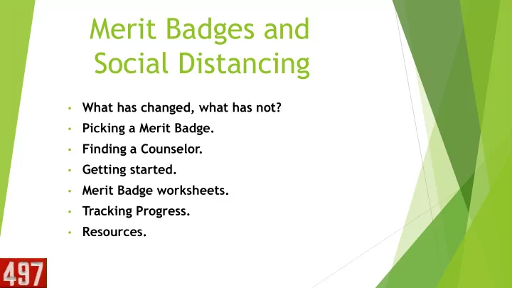 merit badges and social distancing