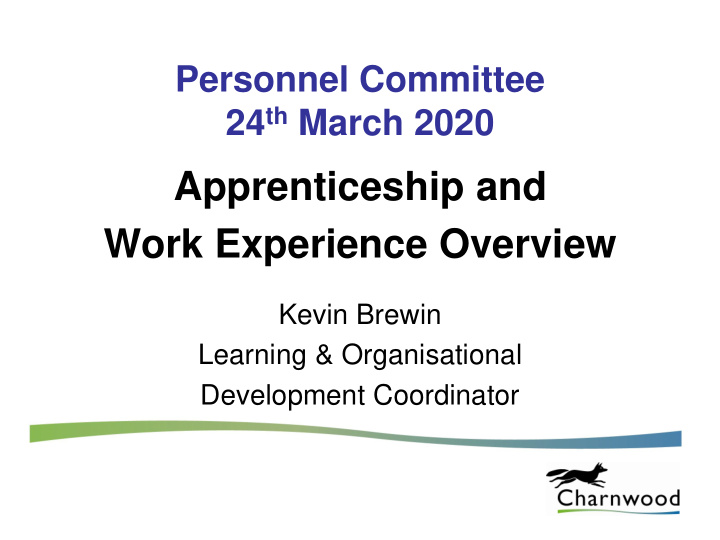 work experience overview