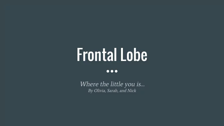 frontal lobe