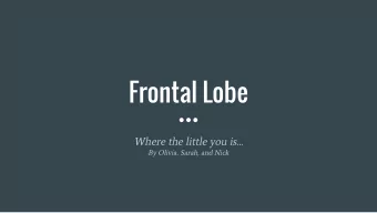 Frontal Lobe  Where the little you is  By Olivia, Sarah, and Nick  Functions    Motivation