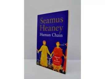 Workstream 3 aims to positively address the impact of adversity  on children. Belfast Intensive